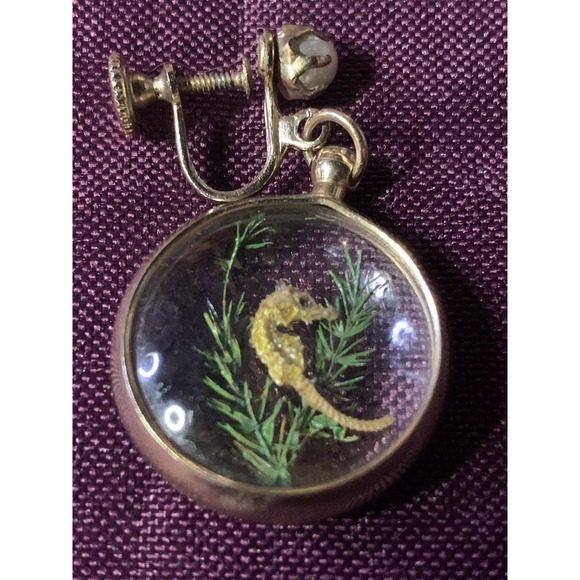 Unique Vintage Seahorse Bubble Dome Earrings With A Screw Back - Picture 1 of 6
